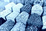 preview cold