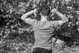 preview bw