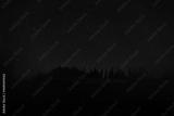 preview bw