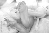preview bw