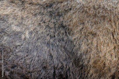 image to crop