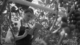 preview bw