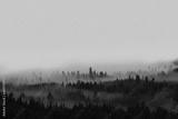 preview bw
