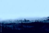preview cold