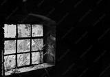 preview bw