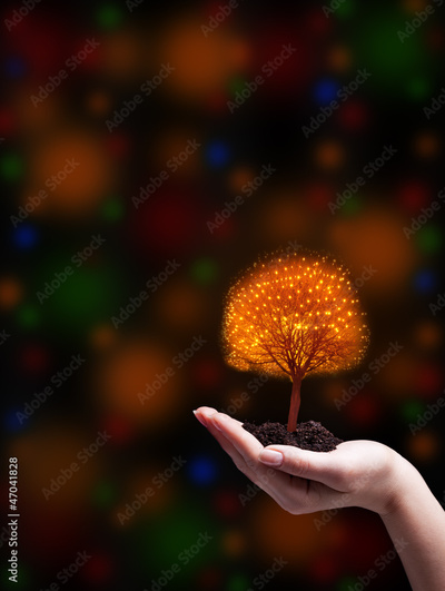 image to crop