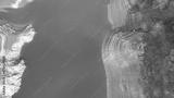 preview bw