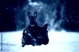 preview cold