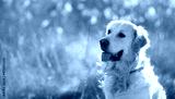 preview cold