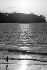 preview bw