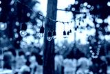 preview cold