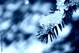 preview cold