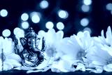 preview cold