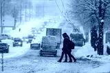 preview cold