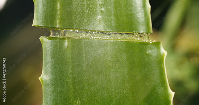 image to crop