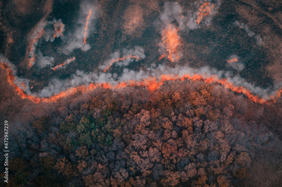 image to crop
