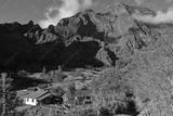 preview bw