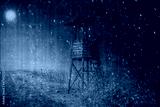 preview cold
