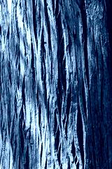 preview cold