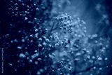 preview cold