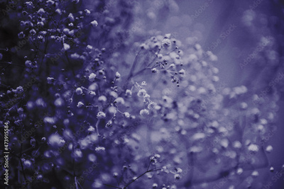 image to crop