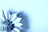 preview cold