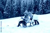 preview cold
