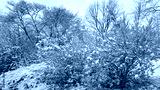 preview cold