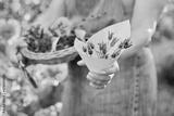 preview bw