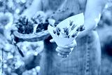 preview cold