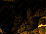 preview original