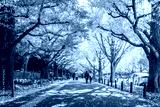 preview cold