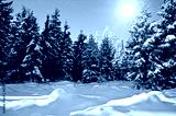 preview cold
