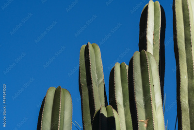 image to crop