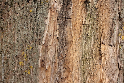 image to crop