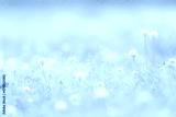 preview cold