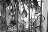preview bw