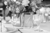 preview bw