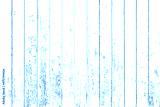 preview cold