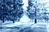 preview cold