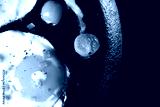 preview cold