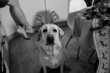 preview bw
