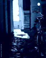 preview cold