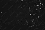 preview bw