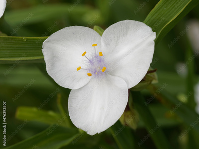 image to crop