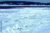 preview cold