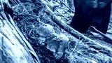 preview cold