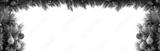 preview bw