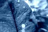 preview cold