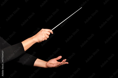 image to crop